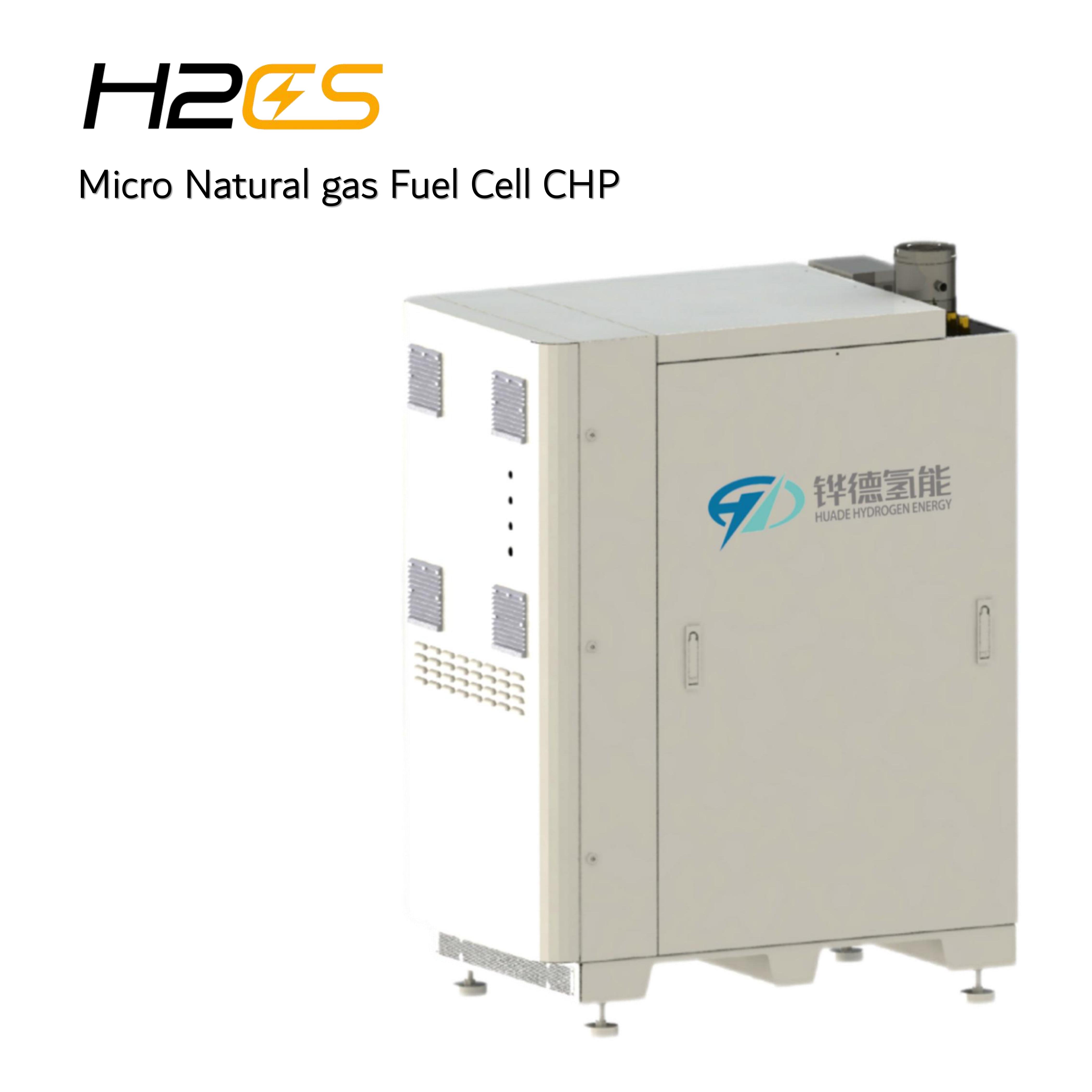 Microturbine Heat Pump Cooling CHP System