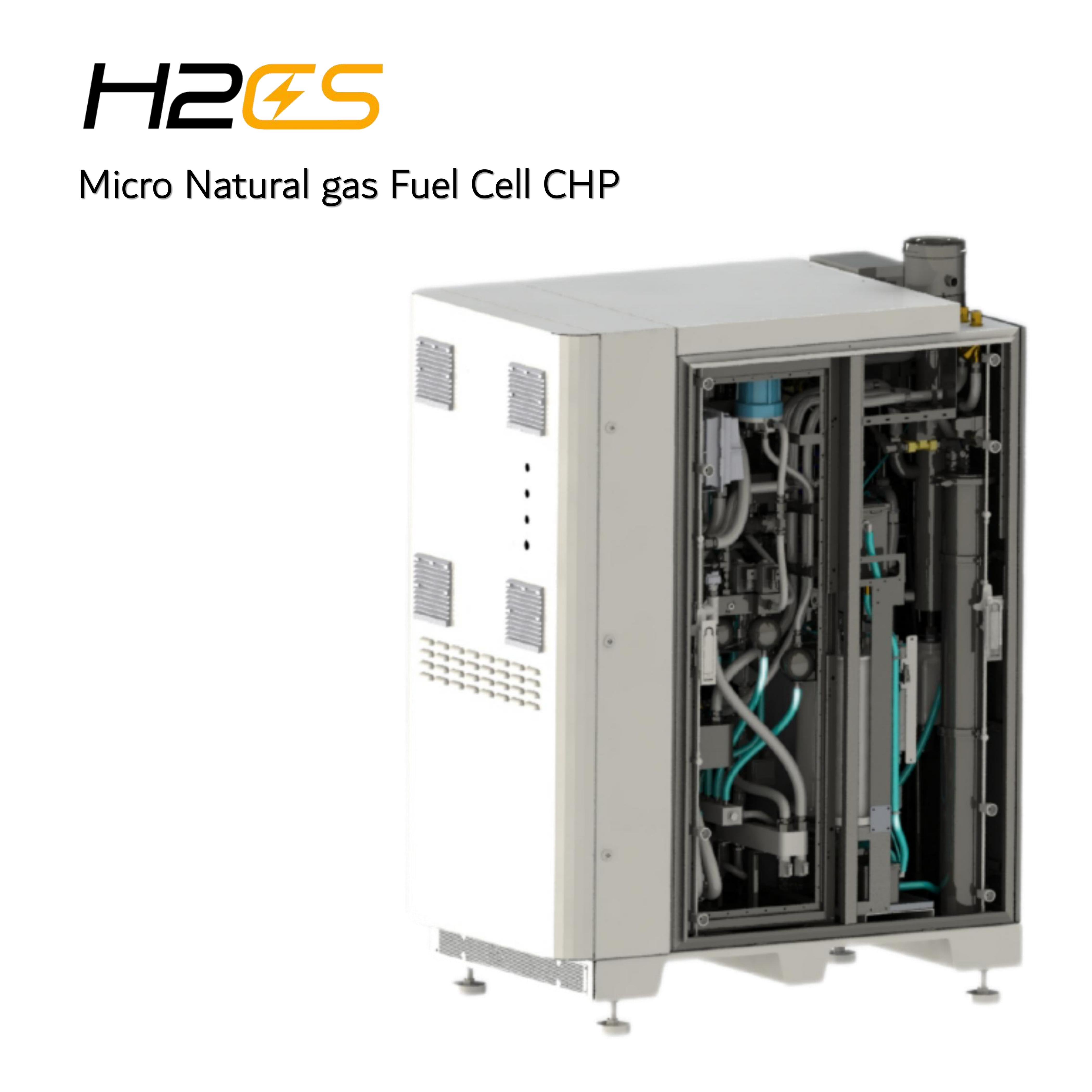 Integrated Gas Turbine Home Use CHP System