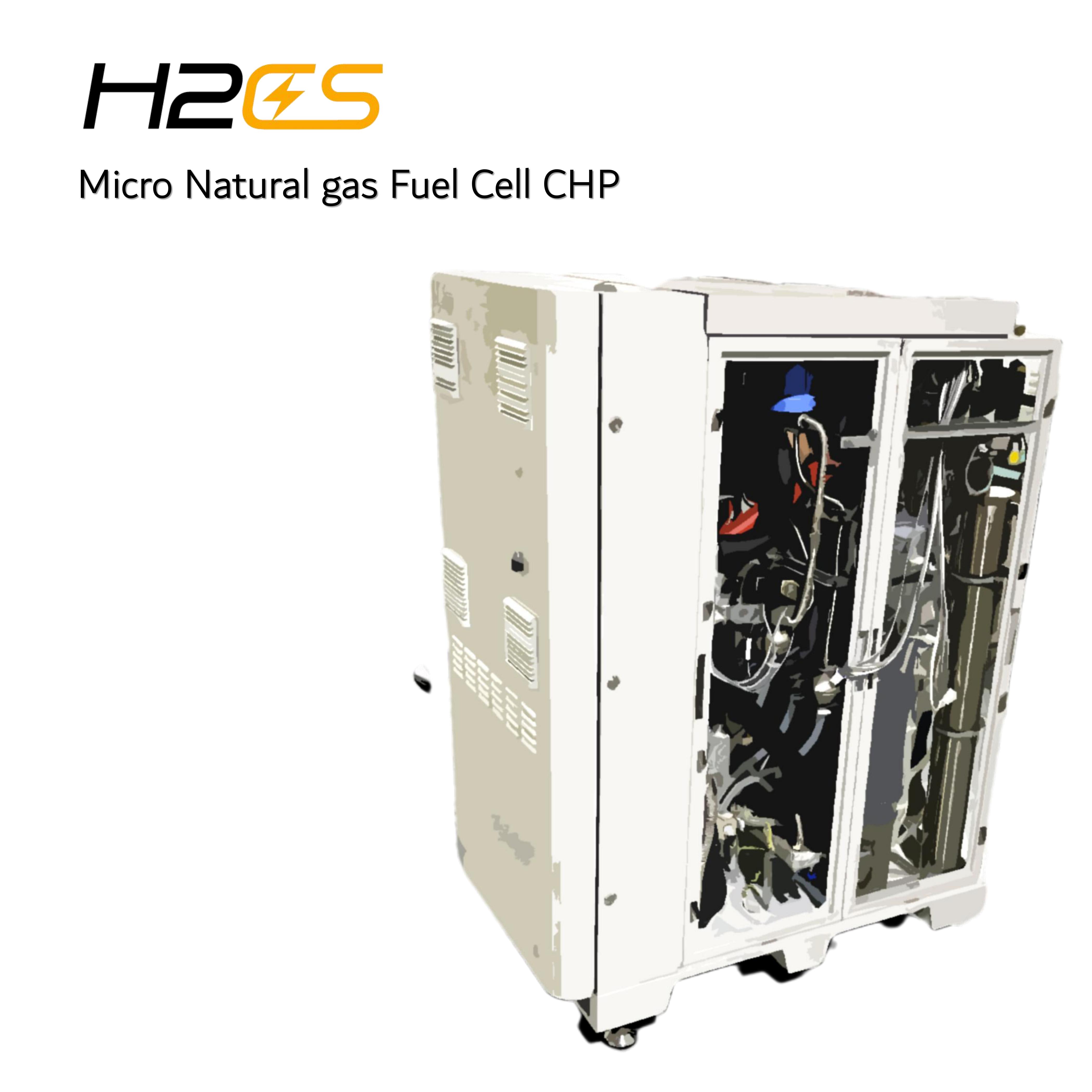 Flow Micro Heat Pump Cooling CHP System