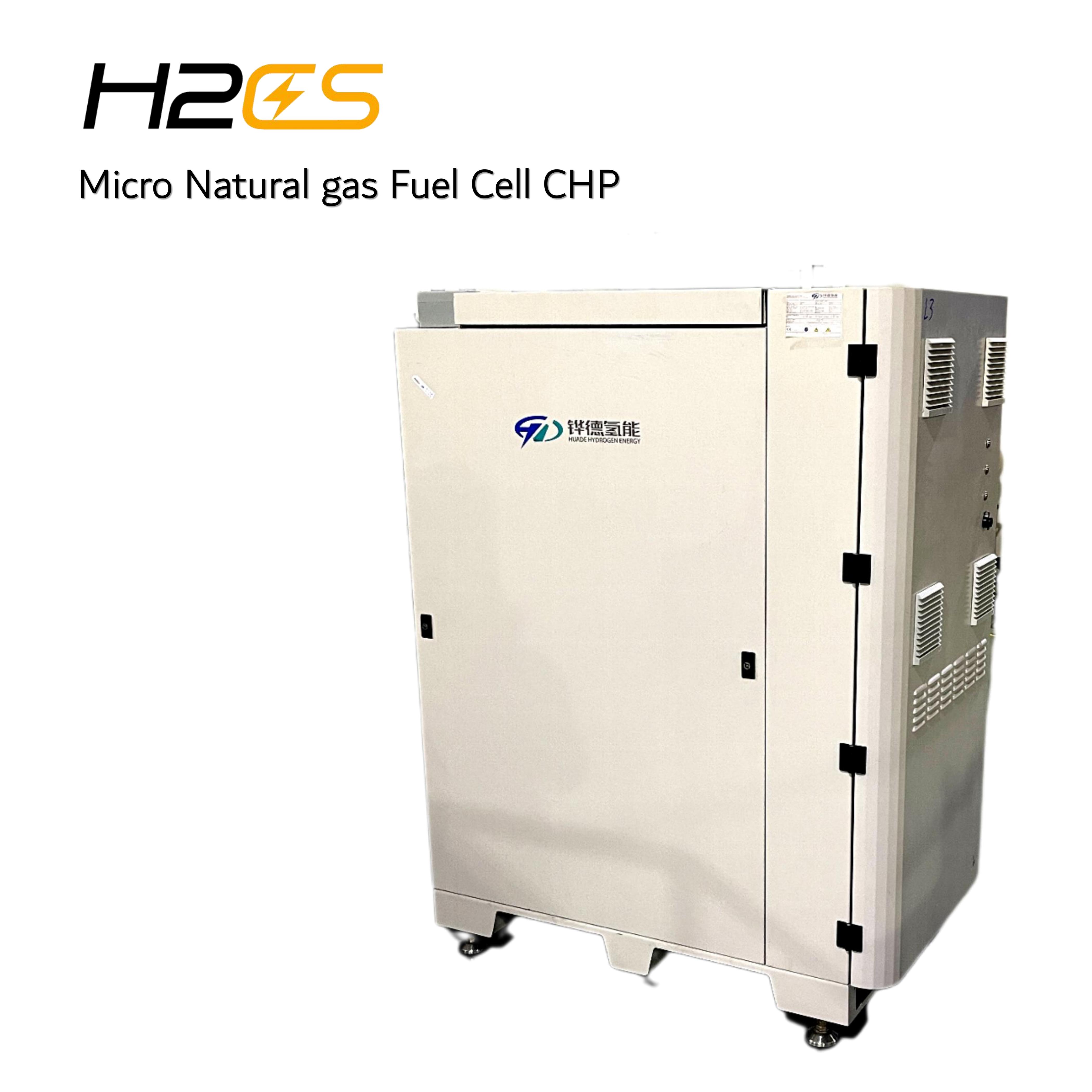 Micro Carbon Free Domestic CHP System