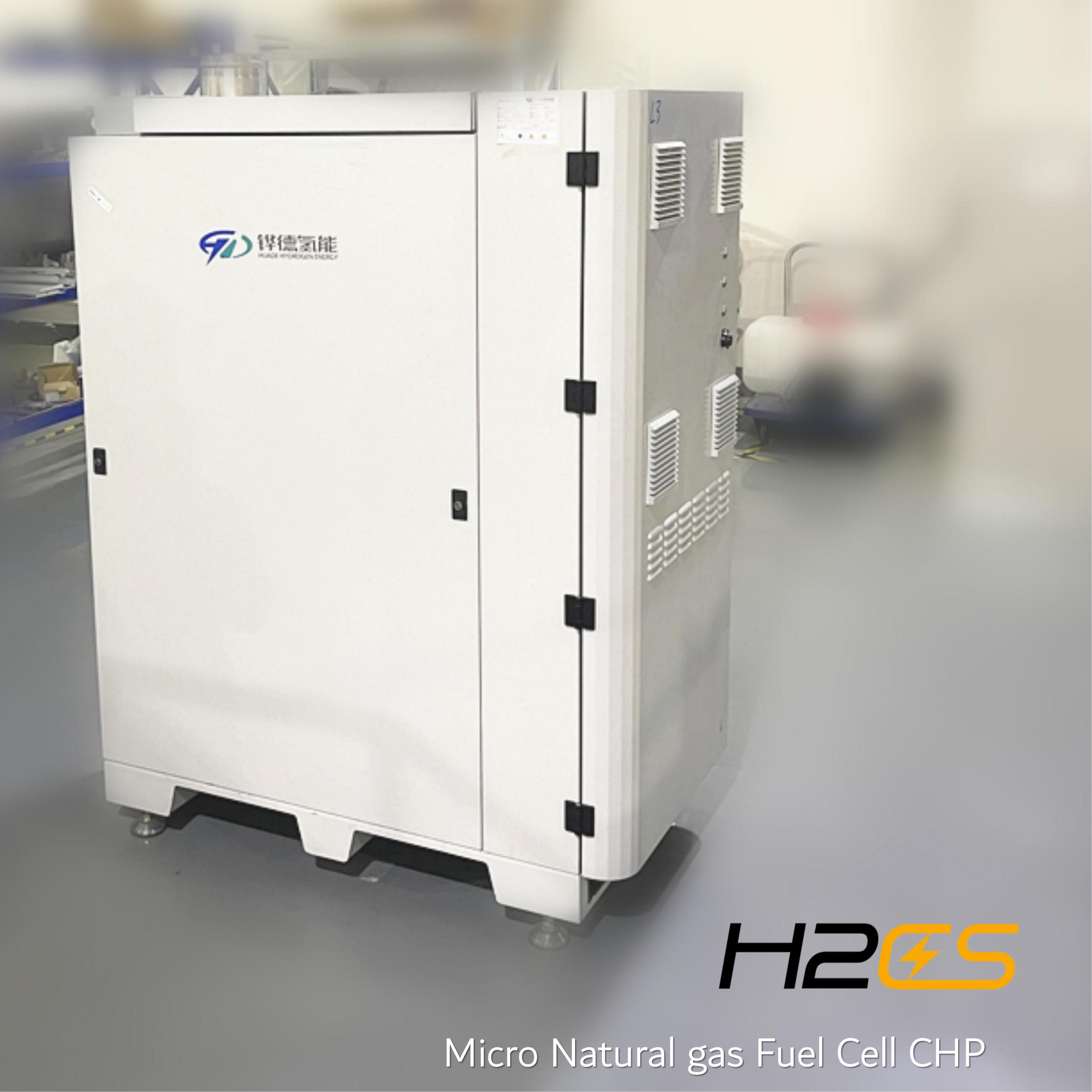 Integrated Carbon Neutral Domestic CHP System