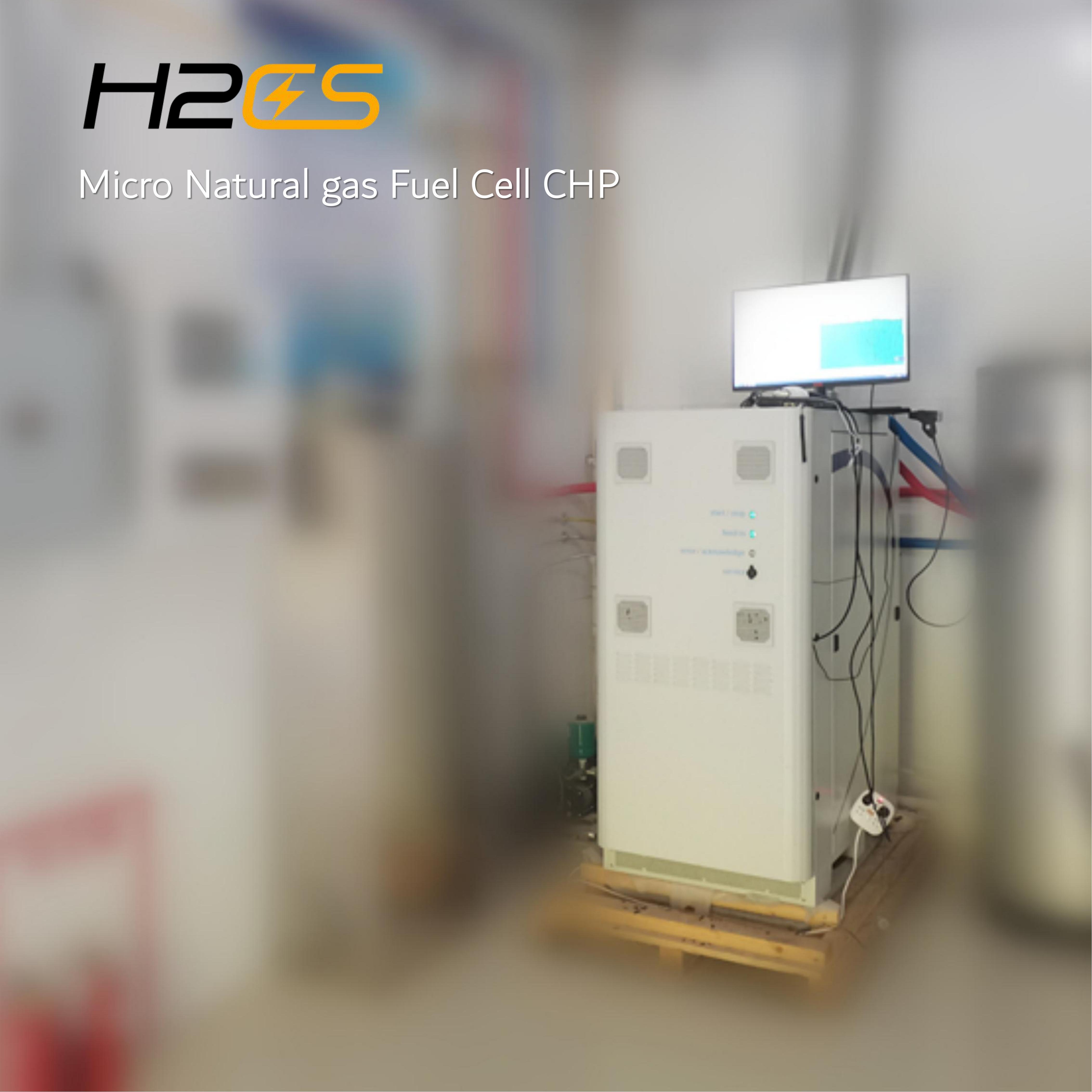 integrated gas generator domestic CHP system